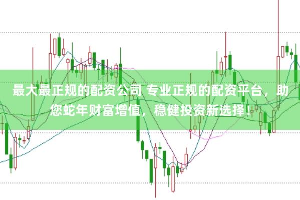 最大最正规的配资公司 专业正规的配资平台，助您蛇年财富增值，稳健投资新选择！