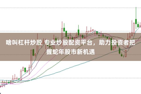 啥叫杠杆炒股 专业炒股配资平台，助力投资者把握蛇年股市新机遇