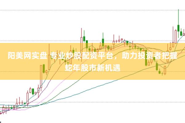 阳美网实盘 专业炒股配资平台，助力投资者把握蛇年股市新机遇
