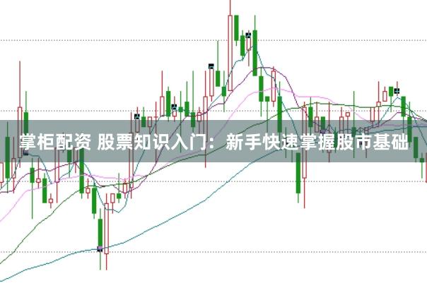 掌柜配资 股票知识入门：新手快速掌握股市基础