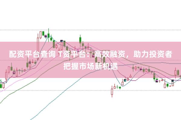 配资平台查询 T资平台：高效融资，助力投资者把握市场新机遇
