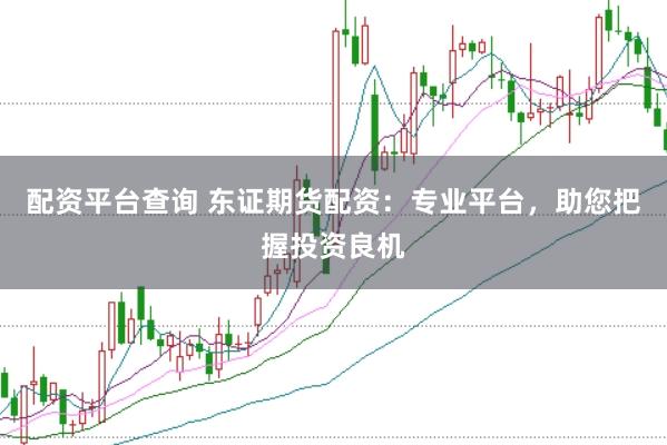 配资平台查询 东证期货配资：专业平台，助您把握投资良机