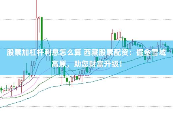 股票加杠杆利息怎么算 西藏股票配资：掘金雪域高原，助您财富升级！