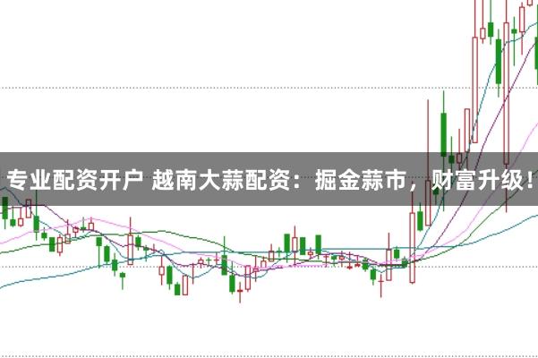专业配资开户 越南大蒜配资：掘金蒜市，财富升级！