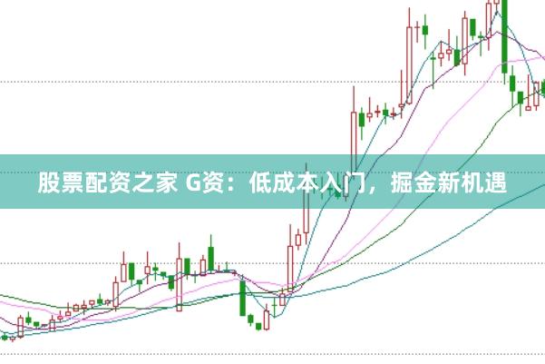 股票配资之家 G资：低成本入门，掘金新机遇