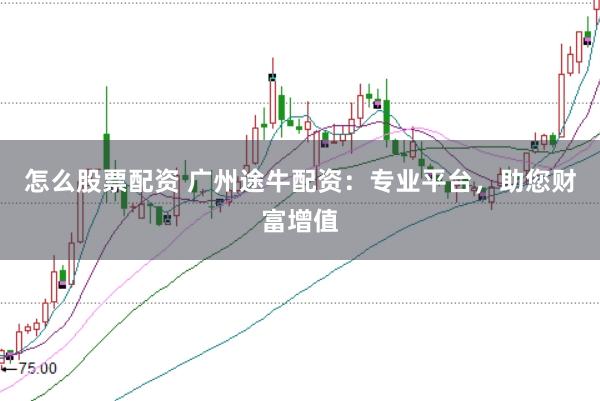 怎么股票配资 广州途牛配资：专业平台，助您财富增值