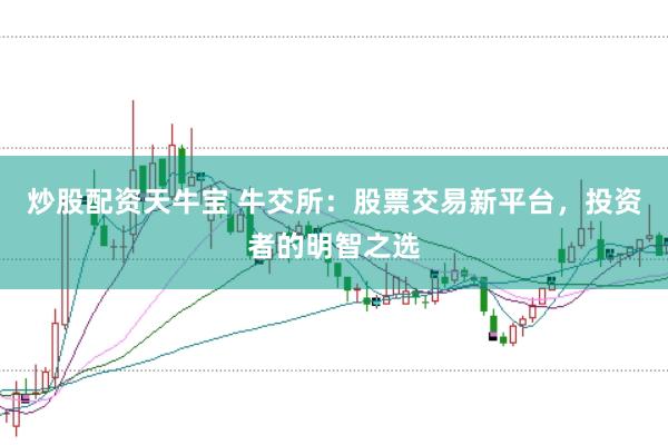 炒股配资天牛宝 牛交所：股票交易新平台，投资者的明智之选