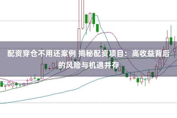 配资穿仓不用还案例 揭秘配资项目：高收益背后的风险与机遇并存