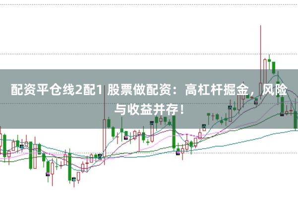 配资平仓线2配1 股票做配资：高杠杆掘金，风险与收益并存！