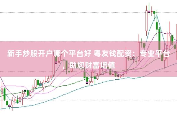 新手炒股开户哪个平台好 粤友钱配资：专业平台，助您财富增值