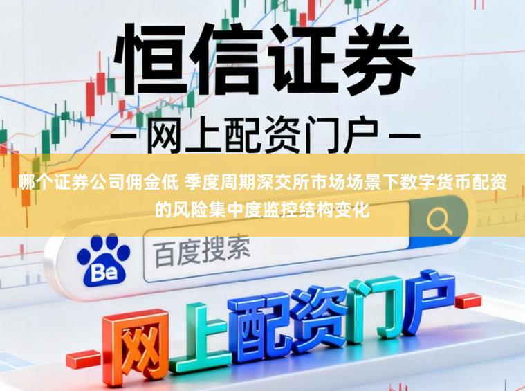 哪个证券公司佣金低 季度周期深交所市场场景下数字货币配资的风险集中度监控结构变化