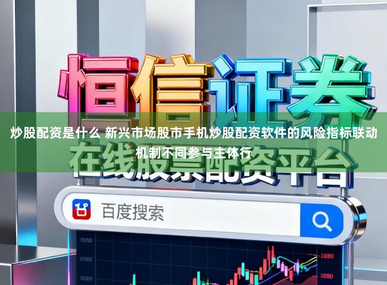 炒股配资是什么 新兴市场股市手机炒股配资软件的风险指标联动机制不同参与主体行