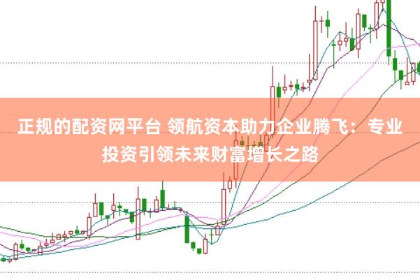 正规的配资网平台 领航资本助力企业腾飞：专业投资引领未来财富增长之路